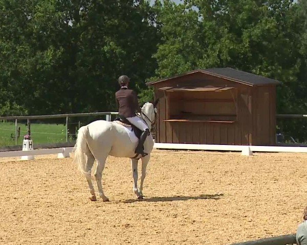 Reitturnier Altentrüdingen/Mfr. 2024
