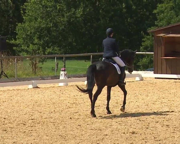 Reitturnier Altentrüdingen/Mfr. 2024