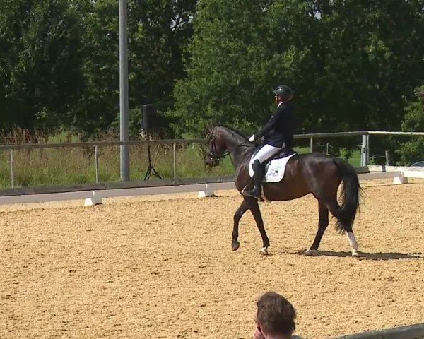 Reitturnier Altentrüdingen/Mfr. 2024