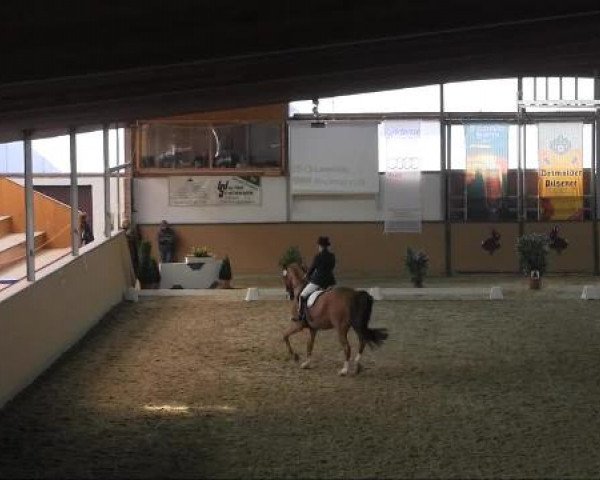 Ravensberger Pferdetage 2013