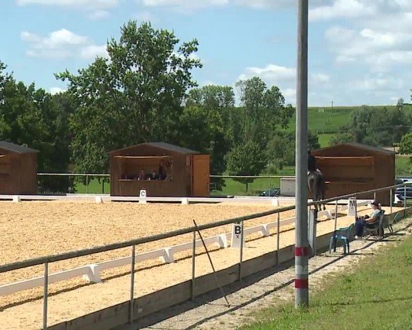 Reitturnier Altentrüdingen/Mfr. 2024