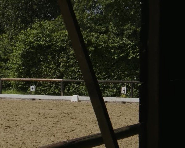 Reitturnier Marienheide-Kempershöhe 2024