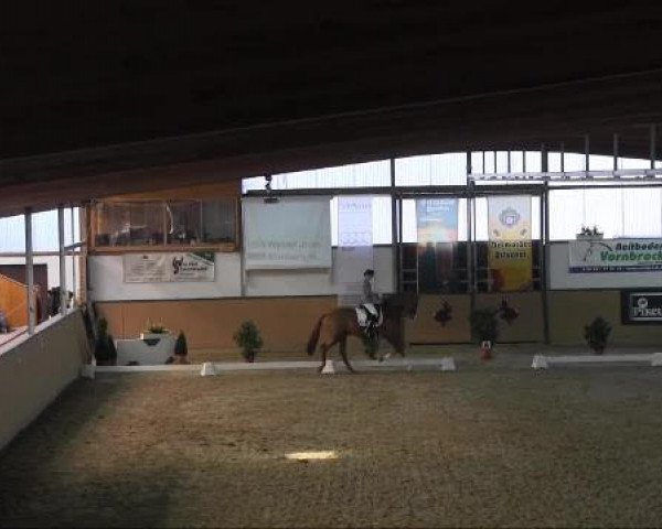 Ravensberger Pferdetage 2013