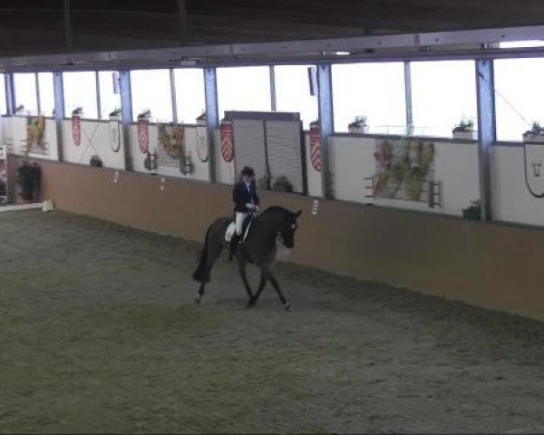 Ravensberger Pferdetage 2013