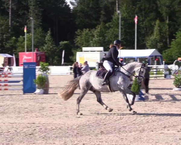 Reitturnier Ladelunder Springtage 2024