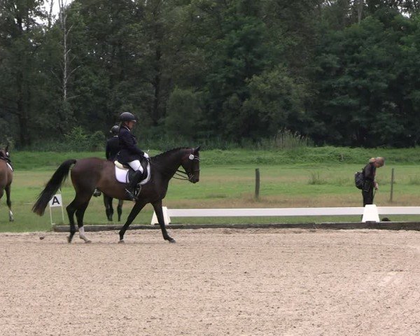 Reitturnier Gallinchen 2024
