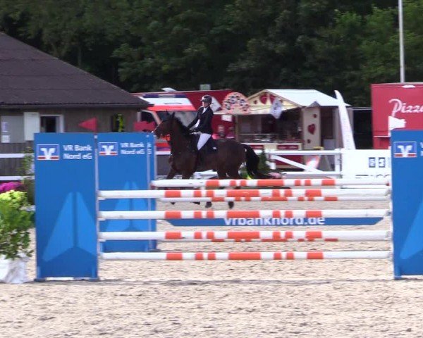 Reitturnier Ladelunder Springtage 2024