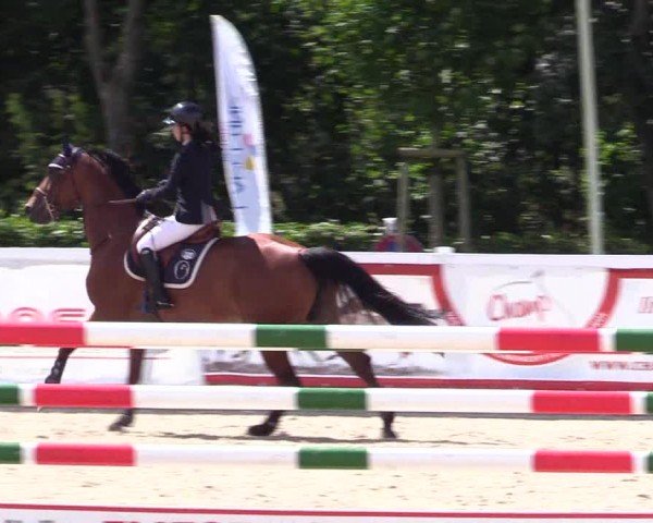 Reitturnier Ladelunder Springtage 2024