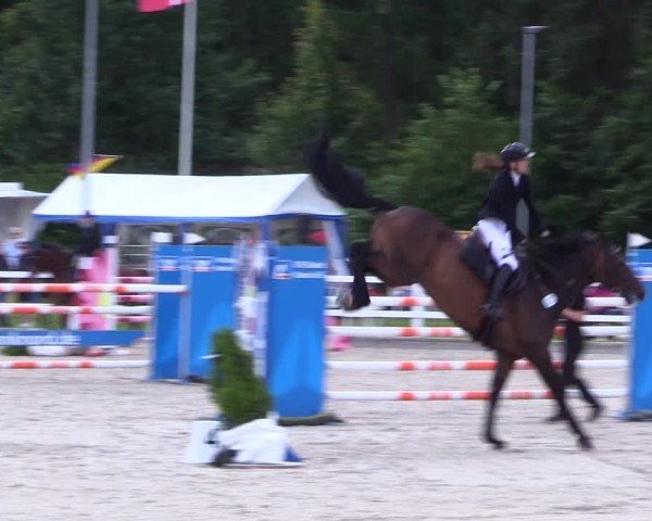 Reitturnier Ladelunder Springtage 2024