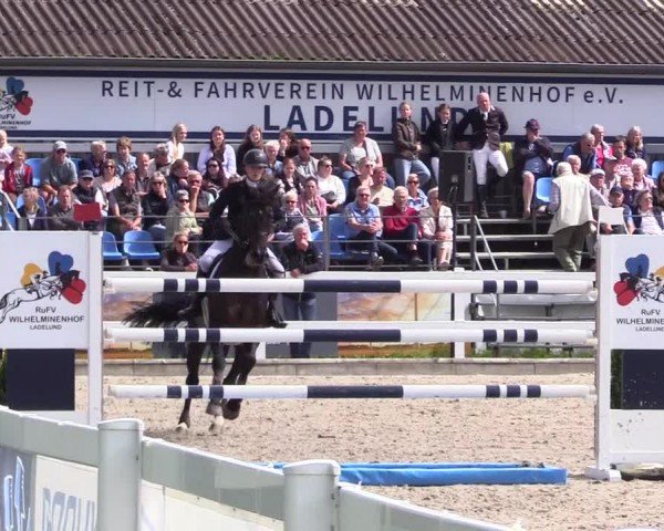 Reitturnier Ladelunder Springtage 2024