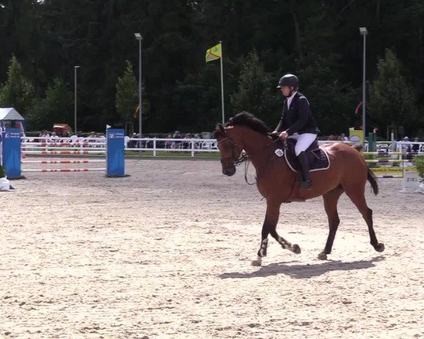 Reitturnier Ladelunder Springtage 2024