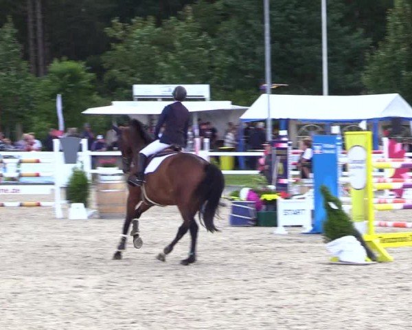 Reitturnier Ladelunder Springtage 2024