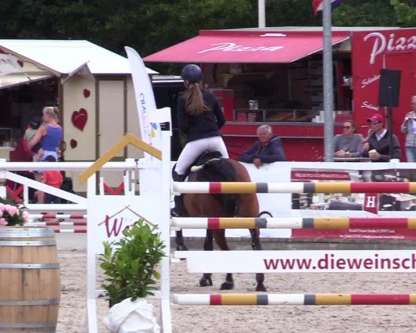 Reitturnier Ladelunder Springtage 2024