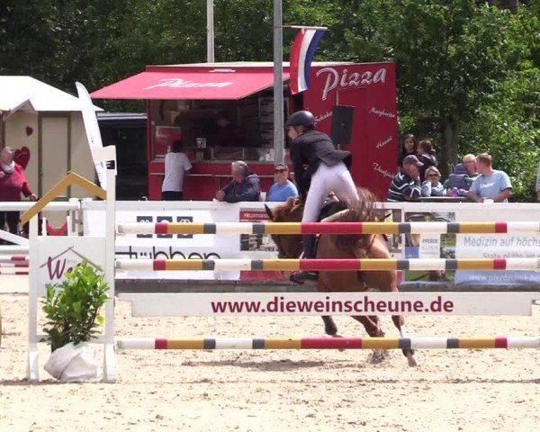 Reitturnier Ladelunder Springtage 2024