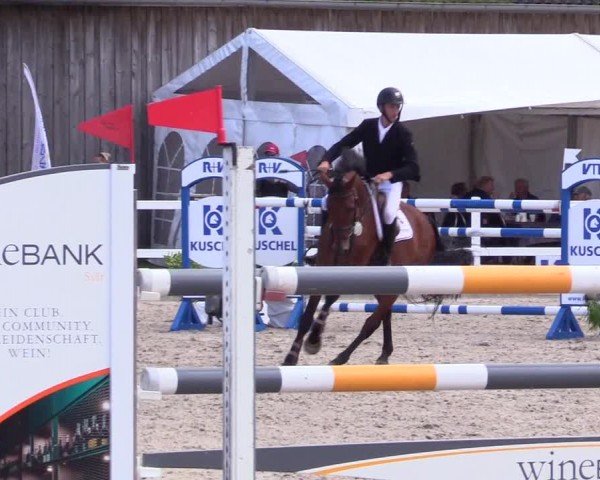 Reitturnier Ladelunder Springtage 2024