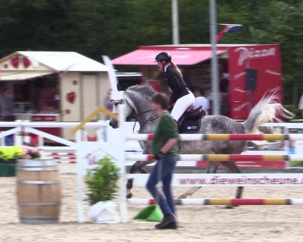 Reitturnier Ladelunder Springtage 2024
