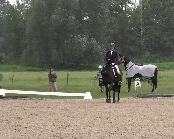 Reitturnier Gallinchen 2024