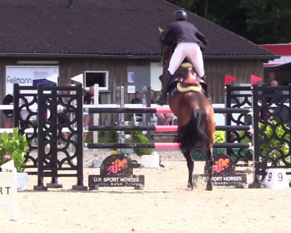 Reitturnier Ladelunder Springtage 2024