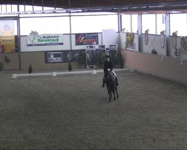 Ravensberger Pferdetage 2013