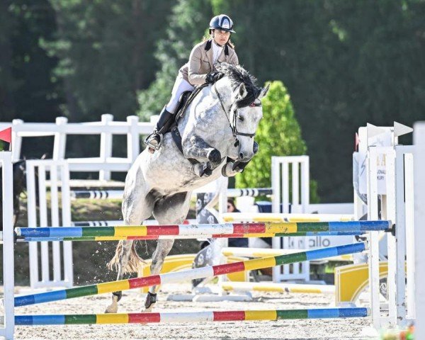 broodmare Corneta P (Westphalian, 2015, from Cornet Obolensky)