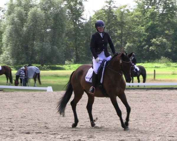 Reitturnier Gallinchen 2024