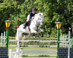 jumper Codi 4 (Westphalian, 2006, from Cornet Obolensky)