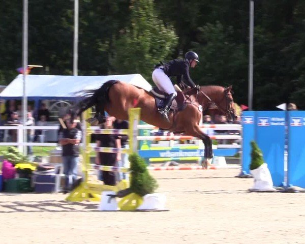 Reitturnier Ladelunder Springtage 2024