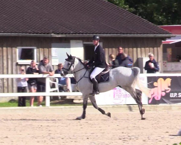 Reitturnier Ladelunder Springtage 2024
