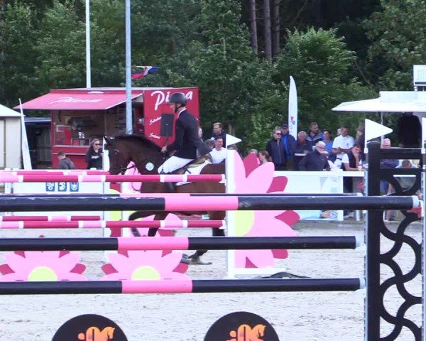 Reitturnier Ladelunder Springtage 2024