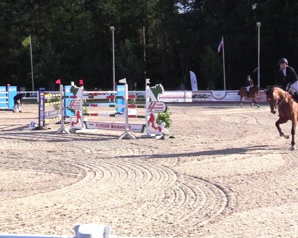 Reitturnier Ladelunder Springtage 2024