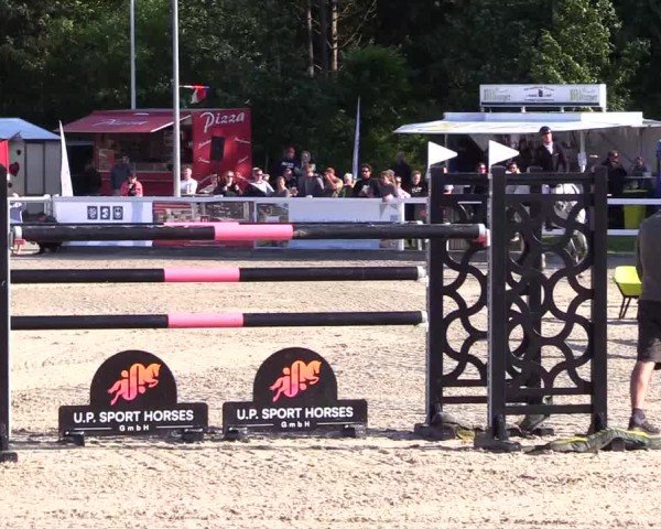 Reitturnier Ladelunder Springtage 2024