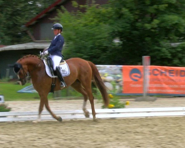 Reitturnier Marienheide-Kempershöhe 2024