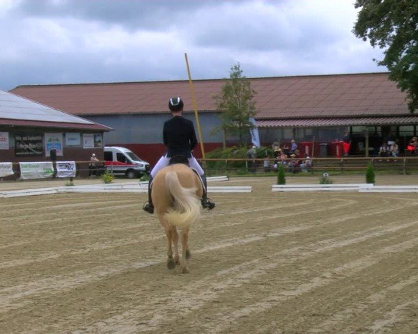 Reitturnier Marienheide-Kempershöhe 2024