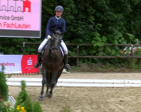 Reitturnier Marienheide-Kempershöhe 2024
