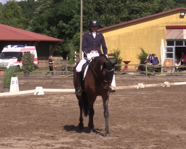 Reitturnier Altlandsberg 2024