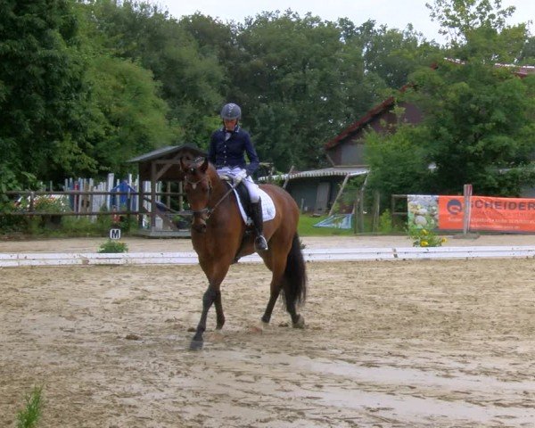 Reitturnier Marienheide-Kempershöhe 2024