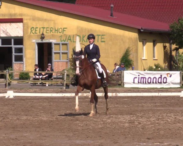 Reitturnier Altlandsberg 2024