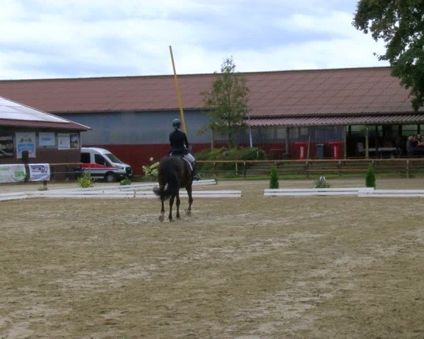 Reitturnier Marienheide-Kempershöhe 2024