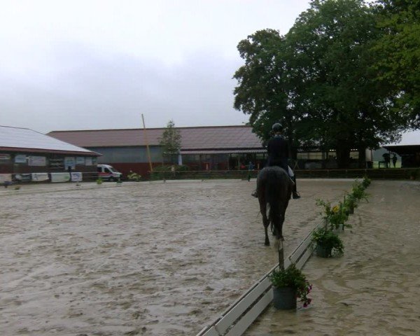 Reitturnier Marienheide-Kempershöhe 2024