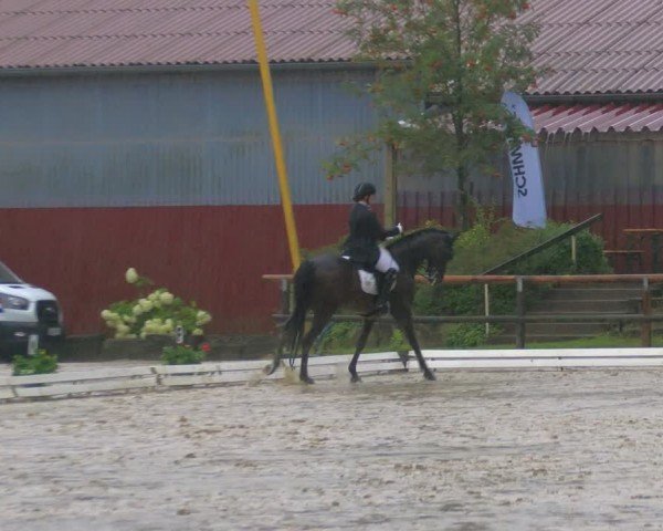 Reitturnier Marienheide-Kempershöhe 2024