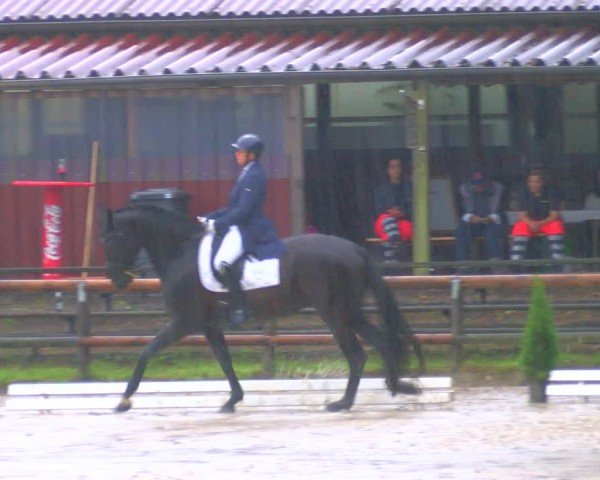 Reitturnier Marienheide-Kempershöhe 2024