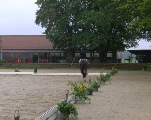 Reitturnier Marienheide-Kempershöhe 2024