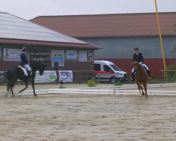 Reitturnier Marienheide-Kempershöhe 2024