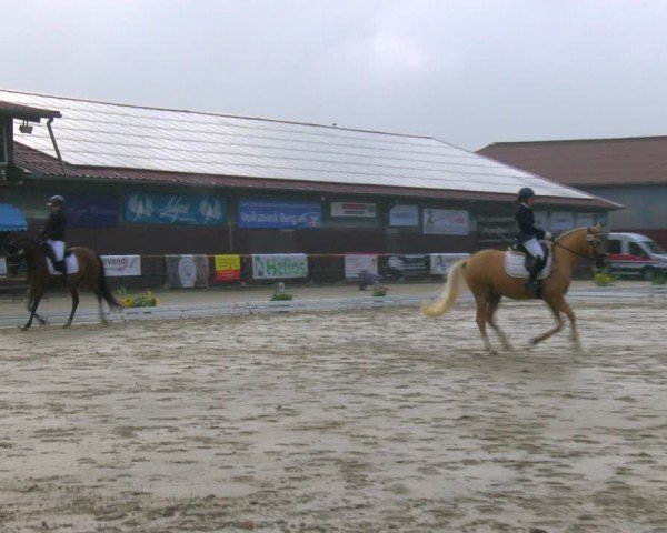 Reitturnier Marienheide-Kempershöhe 2024