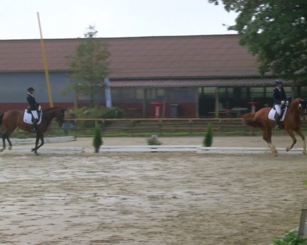 Reitturnier Marienheide-Kempershöhe 2024