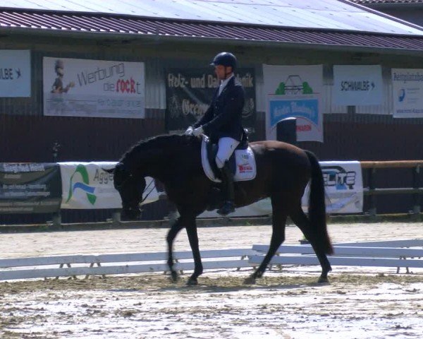 Reitturnier Marienheide-Kempershöhe 2024