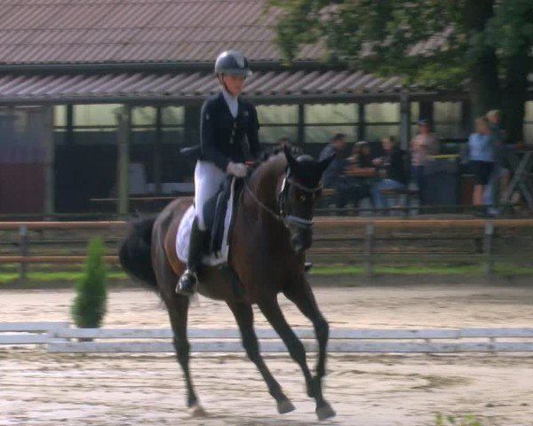 Reitturnier Marienheide-Kempershöhe 2024