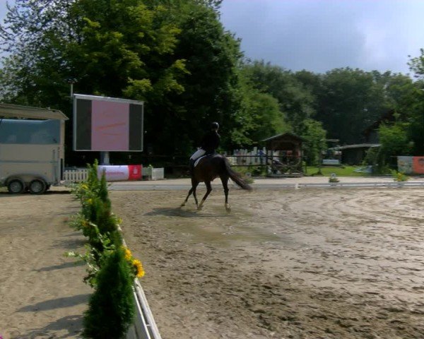 Reitturnier Marienheide-Kempershöhe 2024