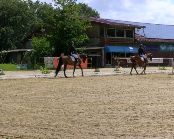 Reitturnier Marienheide-Kempershöhe 2024