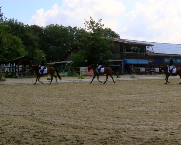 Reitturnier Marienheide-Kempershöhe 2024